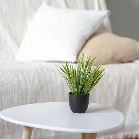 Le Monet Joli Vue Cathedrale ! דירה