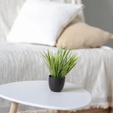 Le Monet Joli Vue Cathedrale ! Apartment *