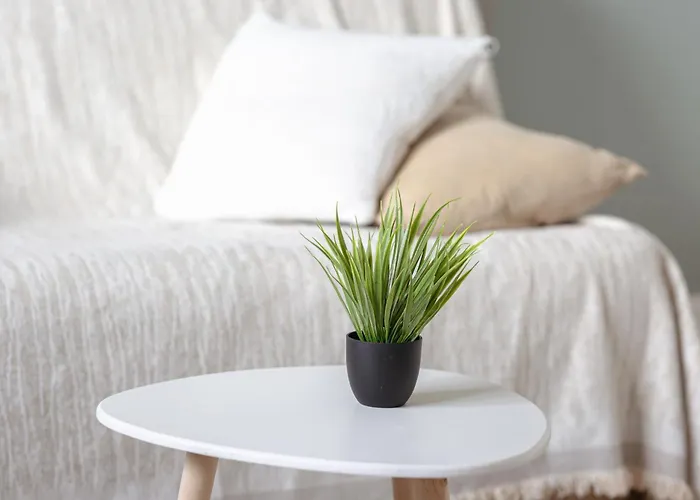 Le Monet Joli Vue Cathedrale ! Apartment