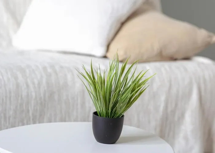 Le Monet Joli Vue Cathedrale ! Apartment *